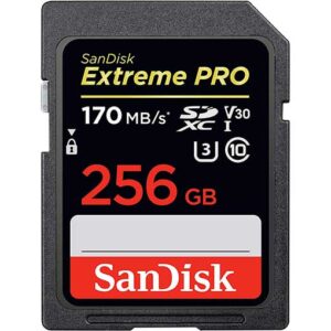 sandisk extreme pro 256 gb