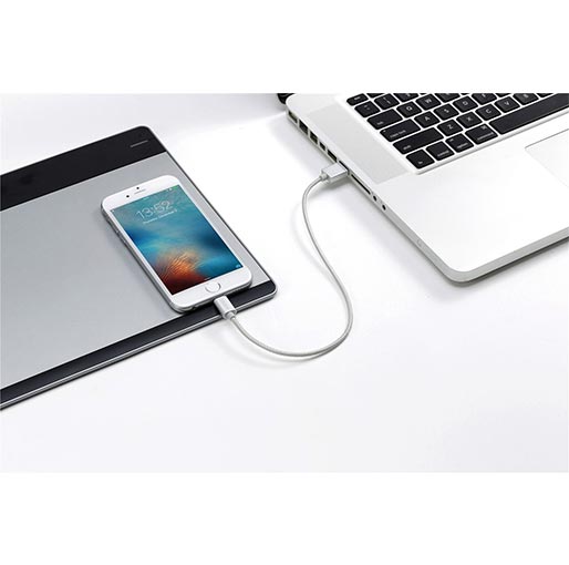Zendure Apple-Certified Lightning Cable -12 Inch 1