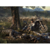 CD-PS4-DAYS-GONE