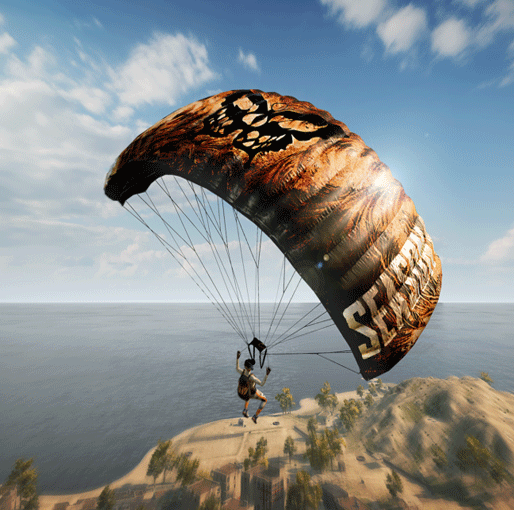 SONY PS4 CD BATTLE GROUNDS-R2
