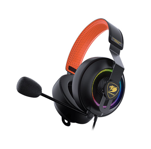 Cougar phontum pro