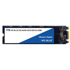 WD Blue 1TB 3D NAND Internal SSD - SATA III 6Gb/s M.2 2280 Solid State Drive - WDS100T2B0B