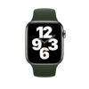 Apple Watch Strap 44mm Cyprus Green Sport Band - Regular
