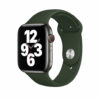 Buy Apple Watch Strap 44mm Cyprus Green Sport Band - Regular in Qatar