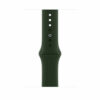Apple Watch Strap 44mm Cyprus Green Sport Band - Regular