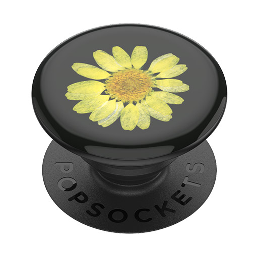 Buy PopSockets Pressed Flower Yellow Daisy PopGrip at best price in Qatar.