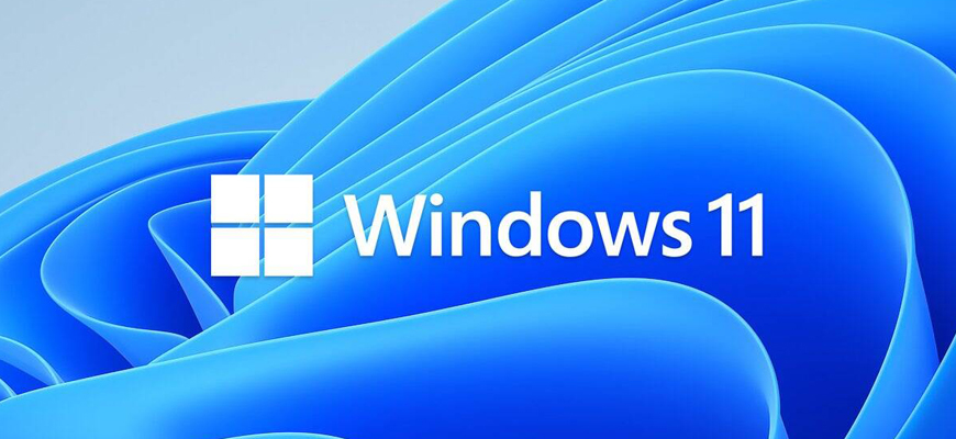 Windows 11