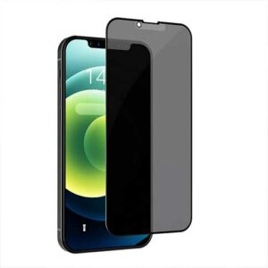 Devia Van Series Privacy PET Edge Twice-Tempered Glass Compatible for iPhone 13 Pro Max - Black
