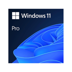 Microsoft Windows 11 Pro 64-bit