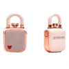 Divoom LoveLock Bluetooth Speaker - Pink