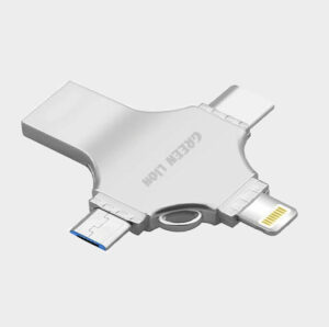 Green Lion 256 GB , 4 In 1 USB Flash Drive – Silver