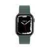 Switcheasy Skin Silicone Strong Magnetic Watch Band for Apple Watch 42/44/45/49mm - Pine Green