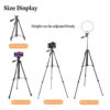 NeePho Tripod Wireless Tripod Selfie Stand Phone Holder NP-3180s with Remote Control Lightweight Foldable Tripod Stand Max Hight 136cm for Live Streaming | Selfie | Photography