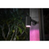 Philips by Signify Hue Outdoor Lily Spike Spot Extension, 915005629801 (Extension)