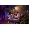 Philips by Signify Hue Outdoor Lily Spike Spot Extension, 915005629801 (Extension)